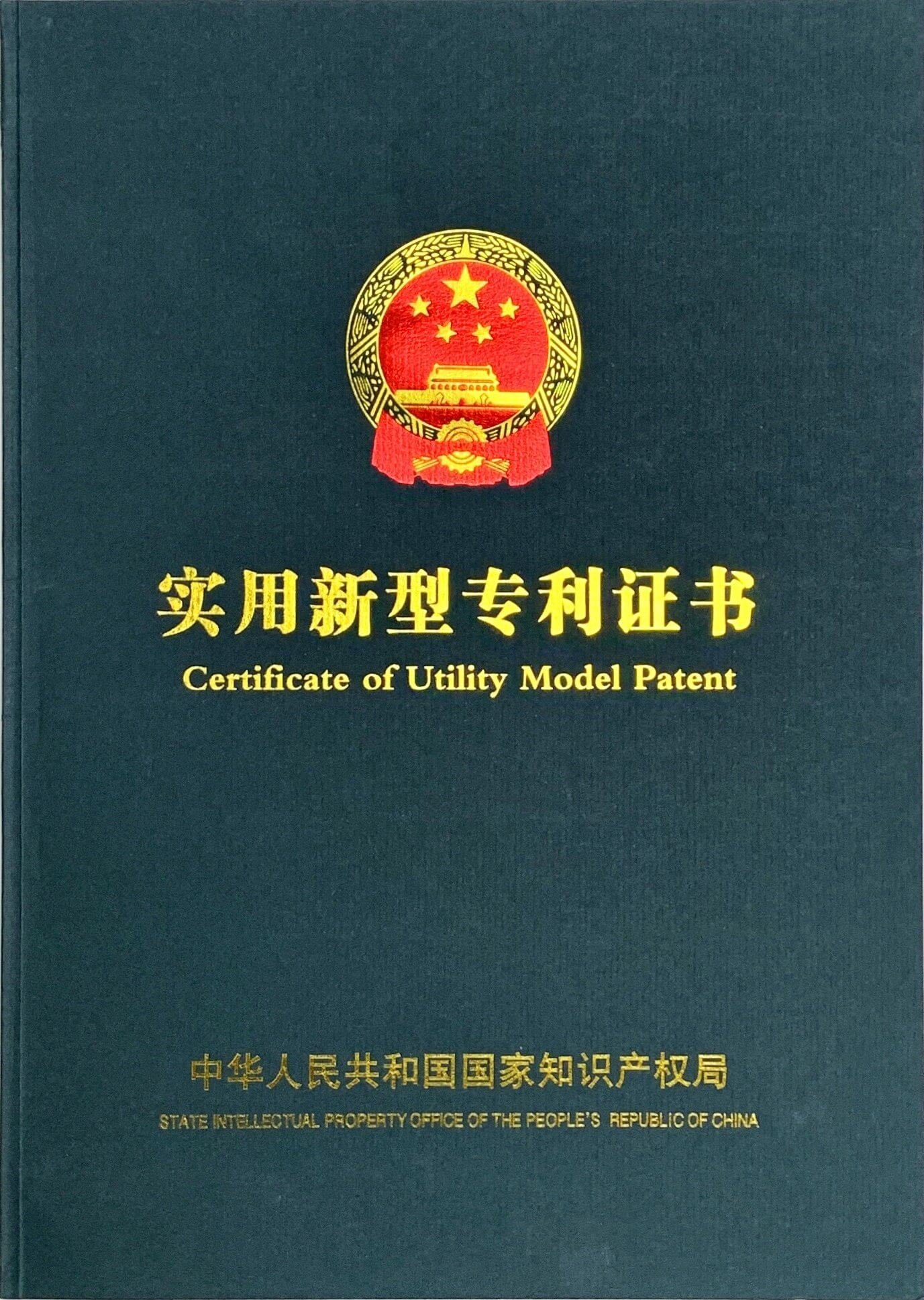 DM_20250121084700_001